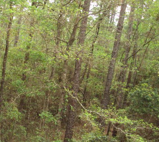 104 Havenwood Circle, Daphne, AL 36526 