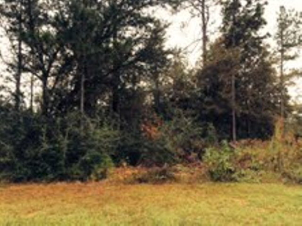 0 Krystal Ridge Court, Daphne, AL 36526 