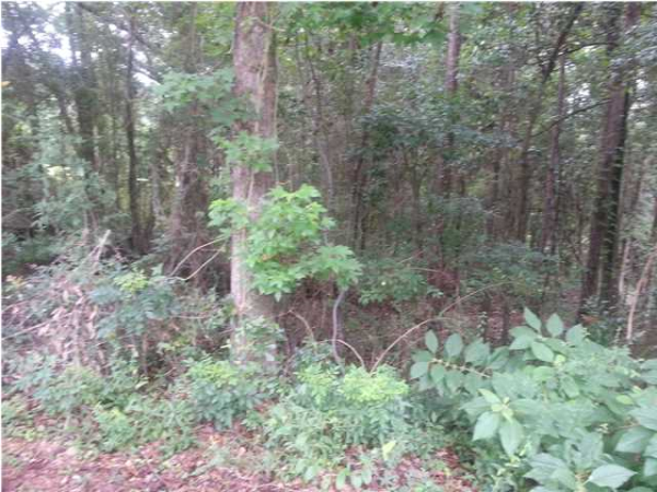 542 Ridgewood Dr, Daphne, AL 36526 