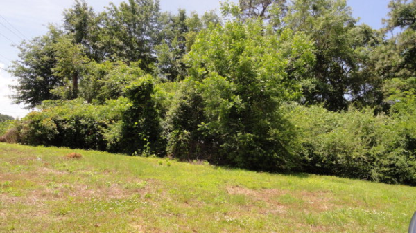 9940 Everette Lane, Daphne, AL 36526 