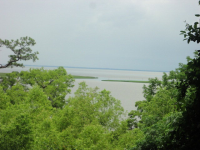 28543 Second Street, Daphne, AL 36526 