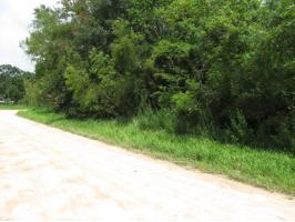 0 11th Street, Coden, AL 36523 