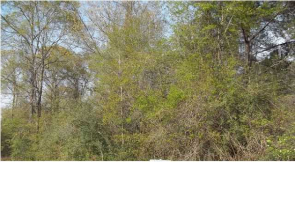 0 Archie Allen Rd. 9A, Citronelle, AL 36522 