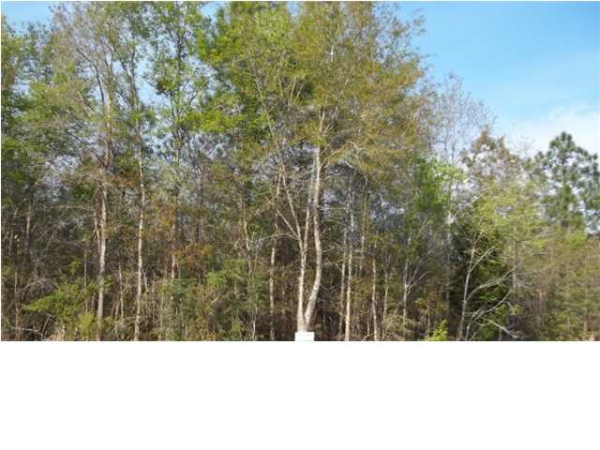 0 Coy Smith Hwy, #9, Citronelle, AL 36522 