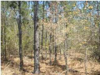 0 John Kelly Rd. #18, Chunchula, AL 36521 