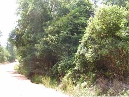 0 Ferrell Rd, Red Level, AL 36474 