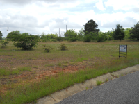 0 Ridge Drive Lot 26, Lot 27, Headland, AL 36345 