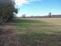 0 Rock Creek Road, Headland, AL 36345 