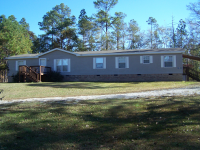 1064 Central Ave, Eclectic, AL 36024 