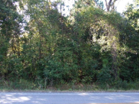 0 Sollie Road, Mobile, AL 36619 