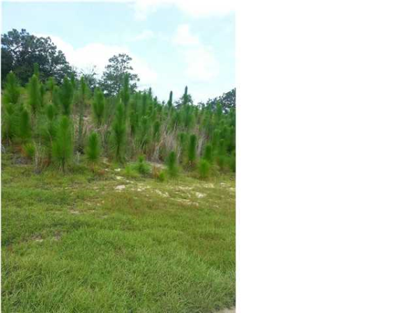 0 Pierson Dr. Lop 106, Mobile, AL 36619 