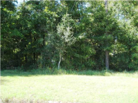 0 Duckbill Ct, Mobile, AL 36695 