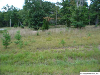 159 Ridgecreek Drive, Gurley, AL 35748 