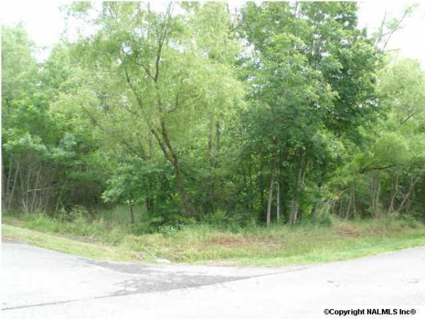 0 Lindsey Lane, Grant, AL 35747 