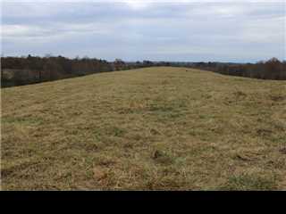 County Road 3724, Addison, AL 36775 