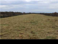 County Road 3724, Addison, AL 36775 