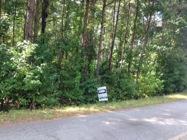 0 Lee Rd 965 Lot 33 Forest Lake, Opelika, AL 36854 