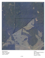 54 acres County Road 162, Lafayette, AL 36862 