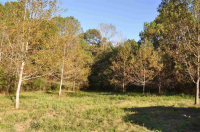 338 River Road, Ariton, AL 36311 