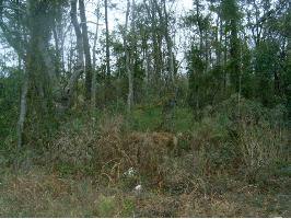 4451 Dauphin Island Pkwy, Mobile, AL 36605 