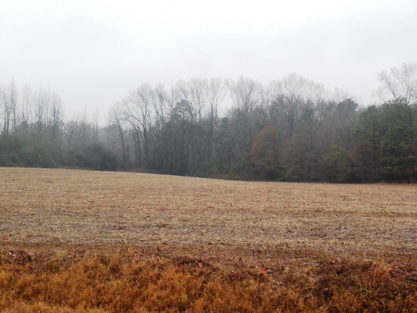 COUNTY ROAD 1809, Joppa, AL 35087 