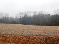 COUNTY ROAD 1809, Joppa, AL 35087 