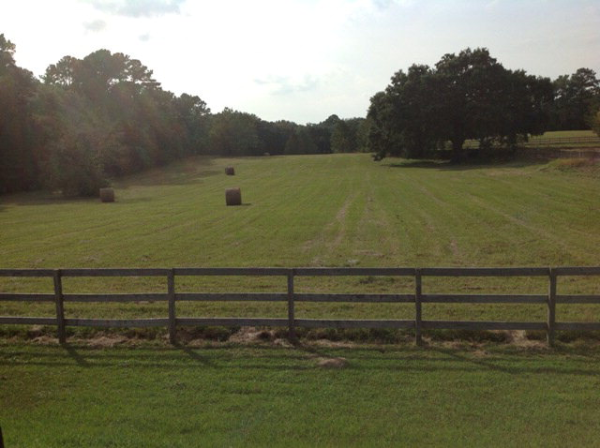 15345 County Road 3, Fairhope, AL 36532 