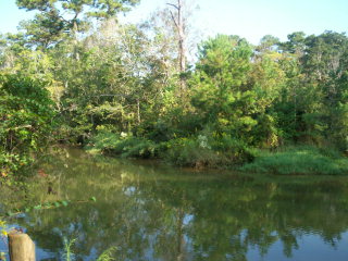 861 Creek Drive, Fairhope, AL 36532 