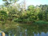 861 Creek Drive, Fairhope, AL 36532 