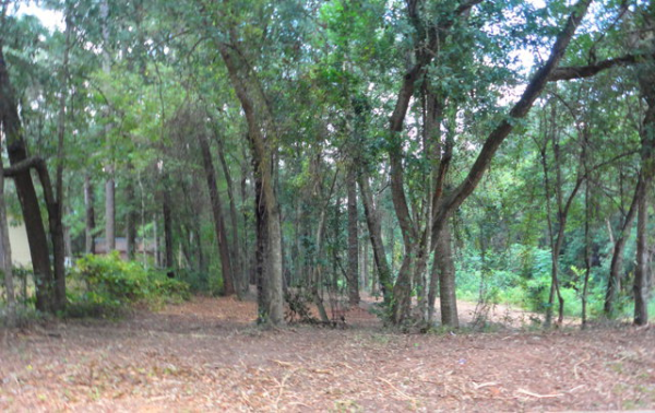 0 Grand Avenue, Fairhope, AL 36532 