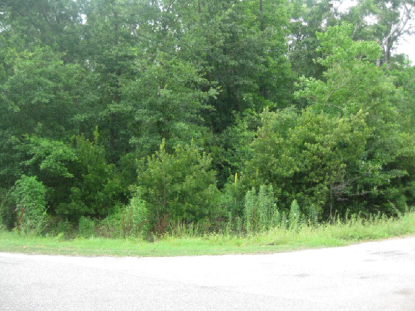 0 County Road 1, Fairhope, AL 36532 