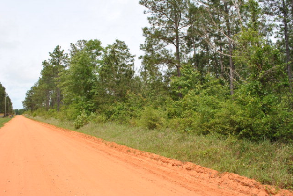 0 Russian Rd, Foley, AL 36535 