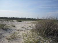 0 Beach Blvd, Gulf Shores, AL 36542 