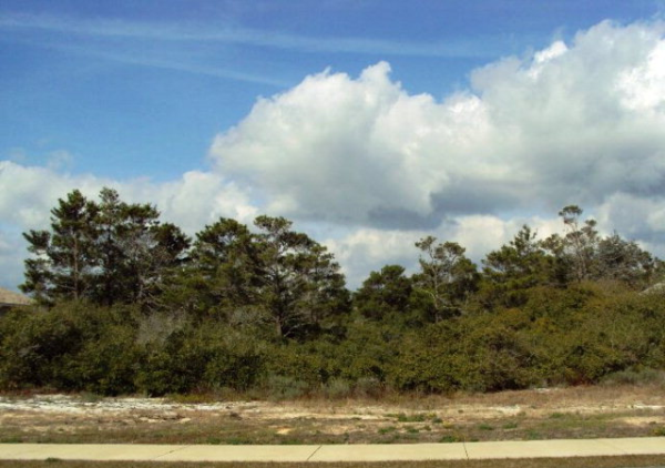 0 River Road, Orange Beach, AL 36561 