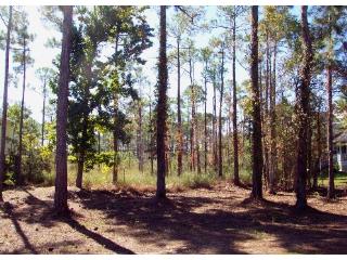 0 East Beach Blvd, Orange Beach, AL 36561 