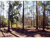 0 East Beach Blvd, Orange Beach, AL 36561 