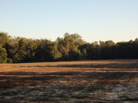 26440 County Road 69, Robertsdale, AL 36567 