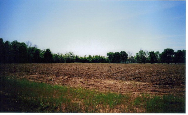 22520 Palmer Street, Robertsdale, AL 36567 