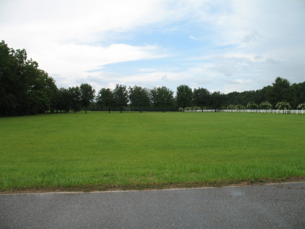 18271 Bull Springs Road, Robertsdale, AL 36567 