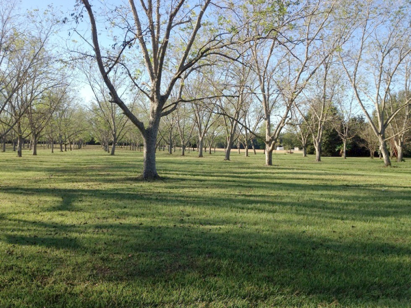 14690 South Blvd., Silverhill, AL 36576 