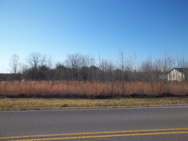 4365 Huckaby Bridge Road SW, Falkville, AL 35622 