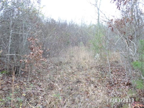 0 Shop Loop Rd, Cherokee, AL 35616 