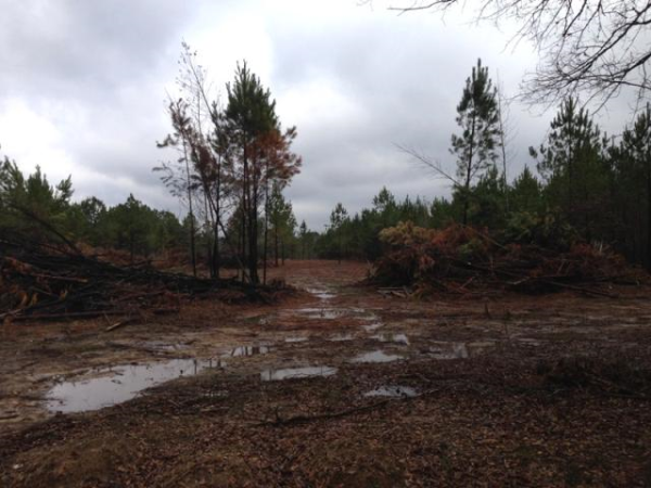 Union Springs Lot 4, Talladega, AL 35160 