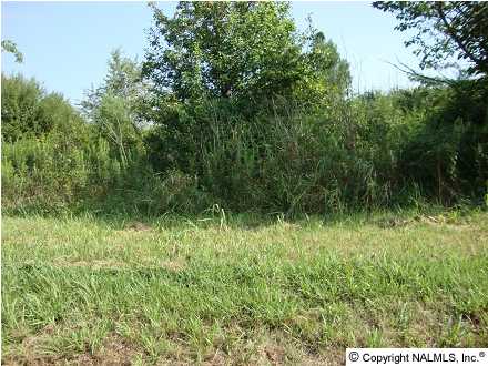 0 Carters Gin Road, Toney, AL 35773 