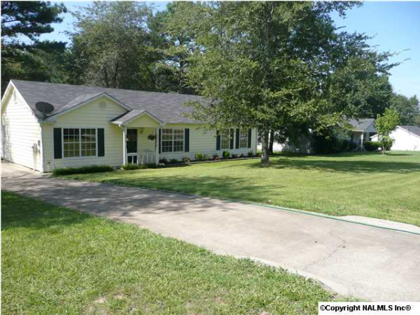 215 Buffalo Creek Drive, Toney, AL 35773 