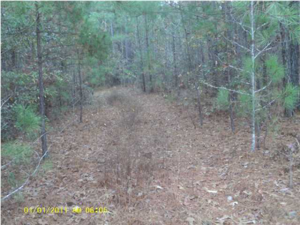 5 Dewberry Trail, Wetumpka, AL 36093 