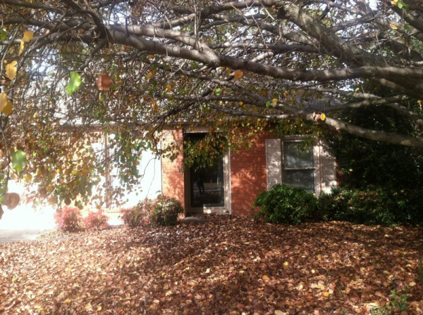 12 Cedar Brook Street, Moulton, AL 35650 