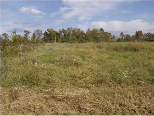 860 Hidden Hollow Rd, Muscle Shoals, AL 35661 