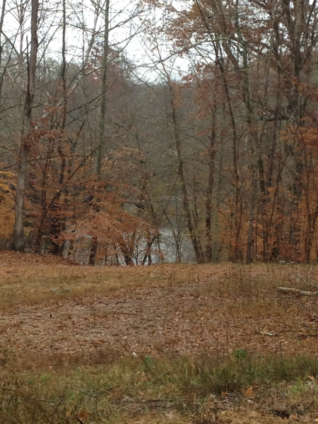 0 Winchester Rd., Florence, AL 35661 