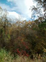 00 ECHOLA ROAD , #3, Gordo, AL 35466 